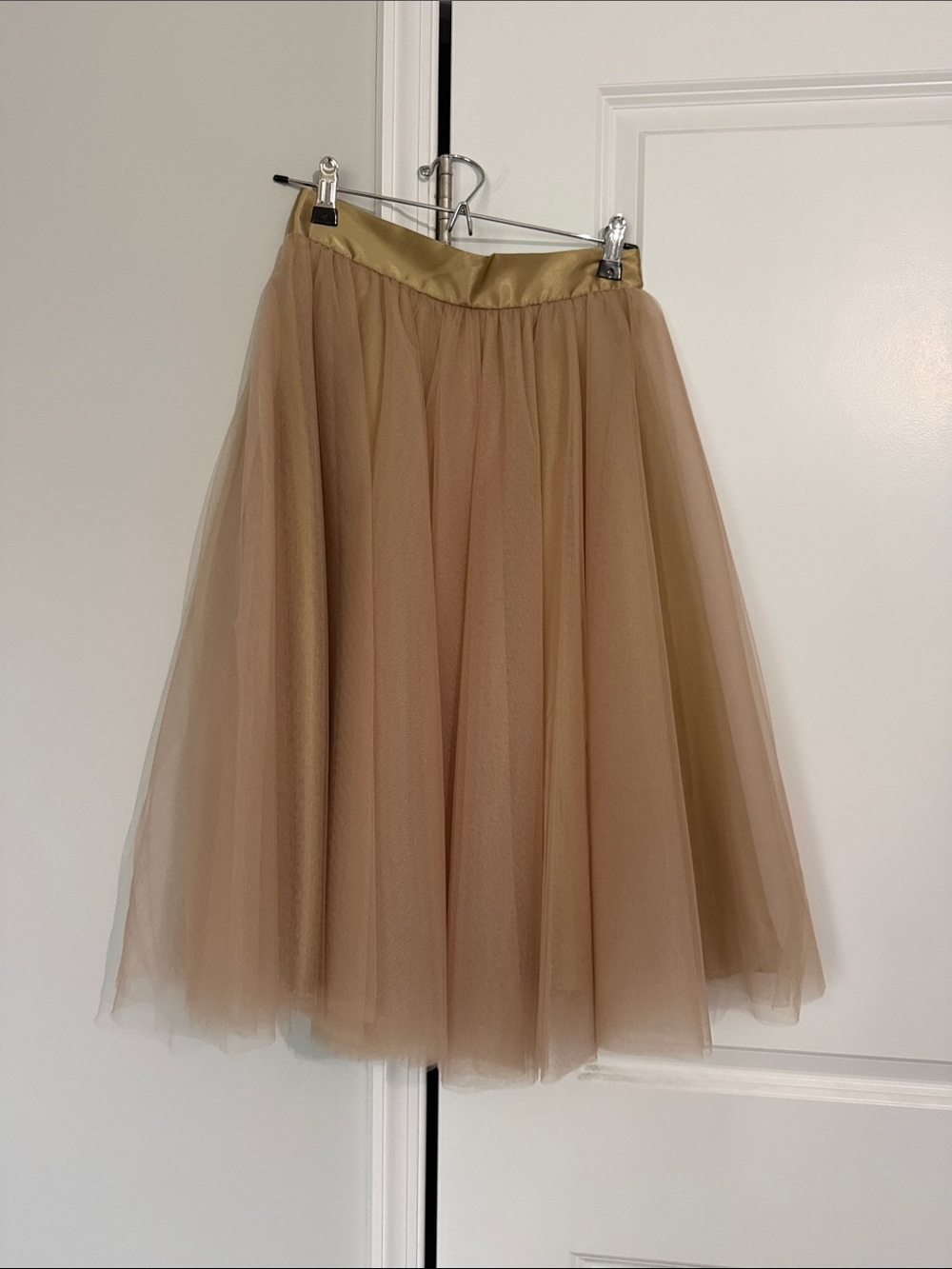 Space 46 Boutique Tulle Midi Skirt in Beige with Gold Waistband